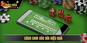 Cách Chơi Xóc Đĩa Hiệu Quả