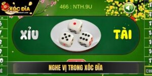 Nghe Vị Trong Xóc Đĩa