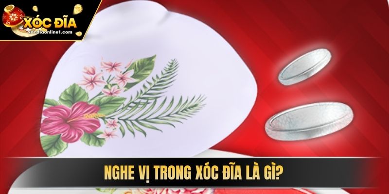 Nghe Vị Trong Xóc Đĩa là gì? 