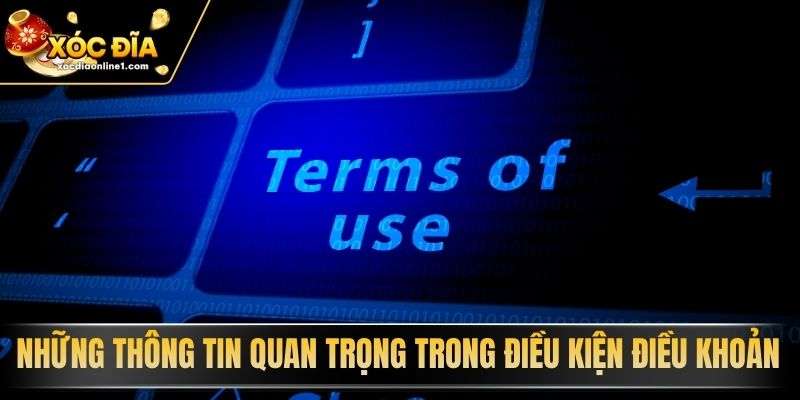Những thông tin quan trọng trong Điều Kiện Điều Khoản